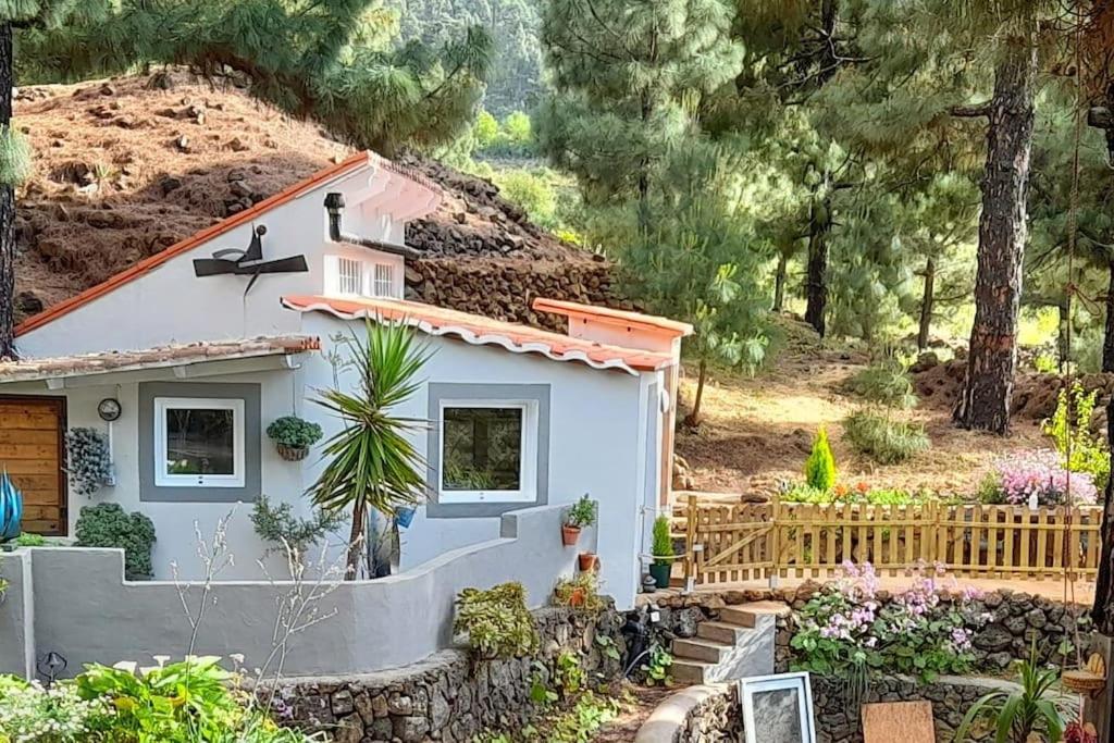 Casa Aguar: Acogedora Casa De Invitados En El Bosque Barrial Exterior photo